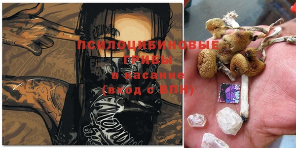 mix Абаза